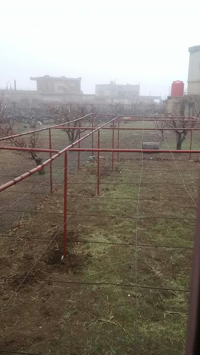 مشاركاتي في أنت الراصد