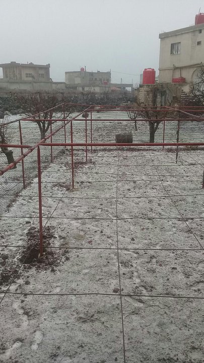 مشاركاتي في أنت الراصد