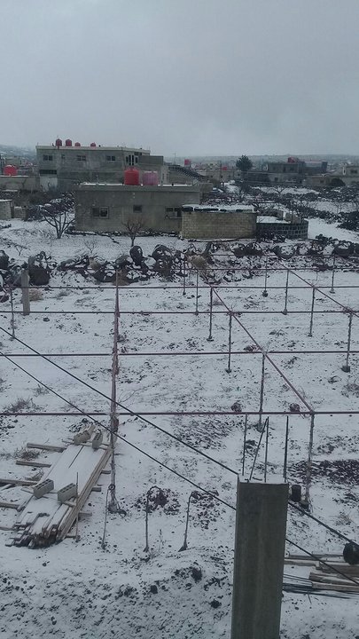 مشاركاتي في أنت الراصد