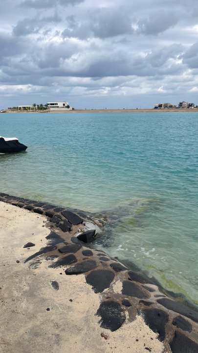 مشاركاتي في أنت الراصد