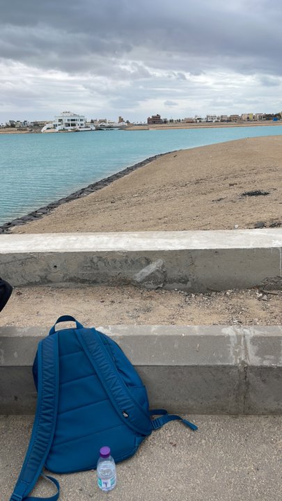 مشاركاتي في أنت الراصد