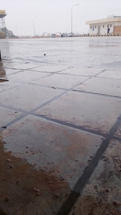 مشاركاتي في أنت الراصد