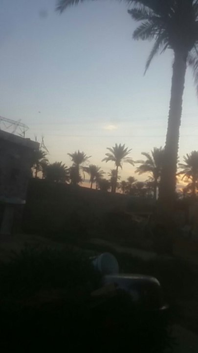 مشاركاتي في أنت الراصد