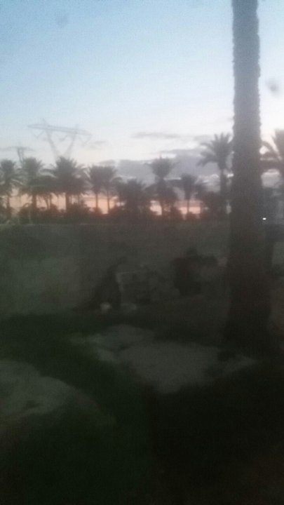 مشاركاتي في أنت الراصد