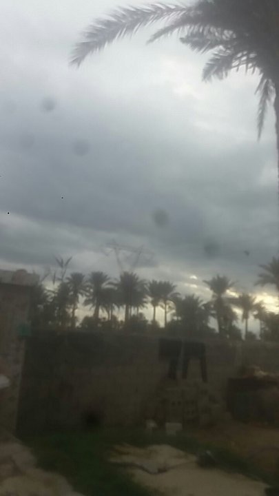 مشاركاتي في أنت الراصد