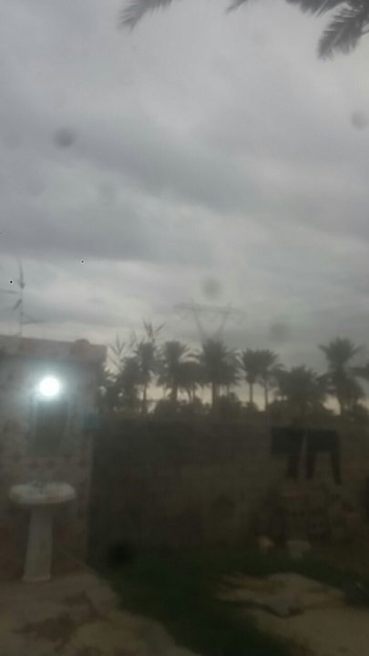 مشاركاتي في أنت الراصد