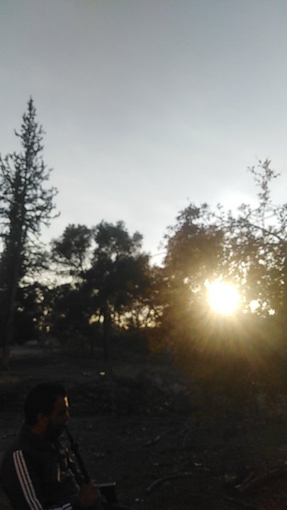 مشاركاتي في أنت الراصد