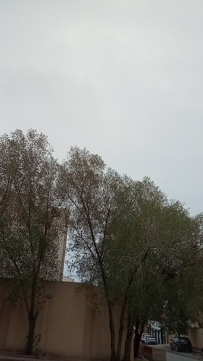 Mes publications Crowdsourcing