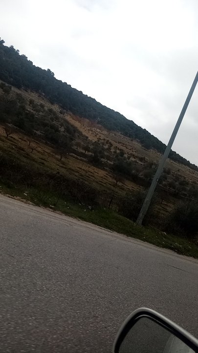 مشاركاتي في أنت الراصد