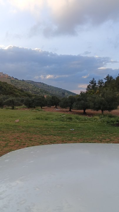 مشاركاتي في أنت الراصد