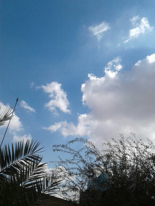 My Crowdsourcing Posts