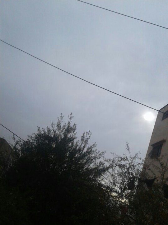 مشاركاتي في أنت الراصد