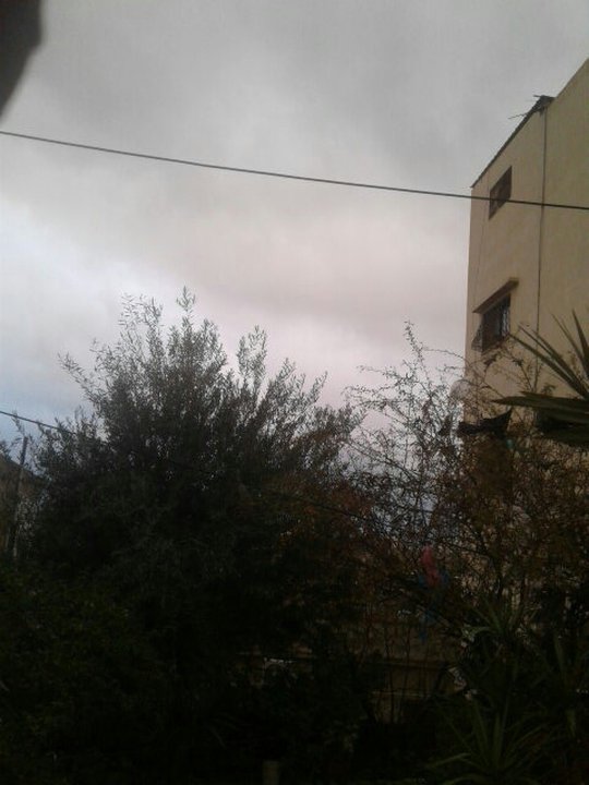 مشاركاتي في أنت الراصد