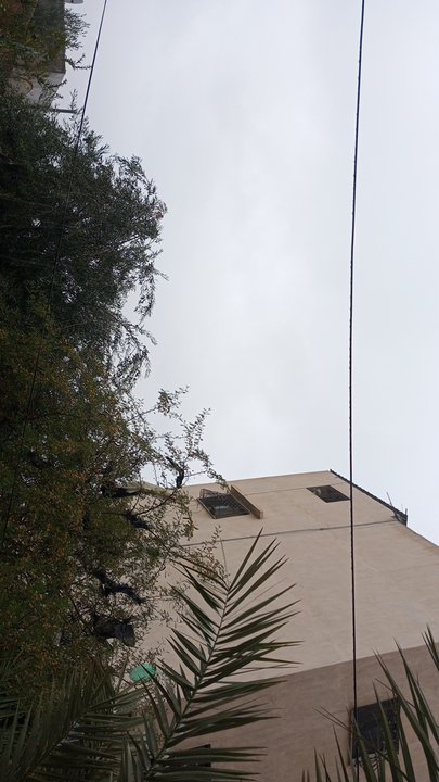 مشاركاتي في أنت الراصد