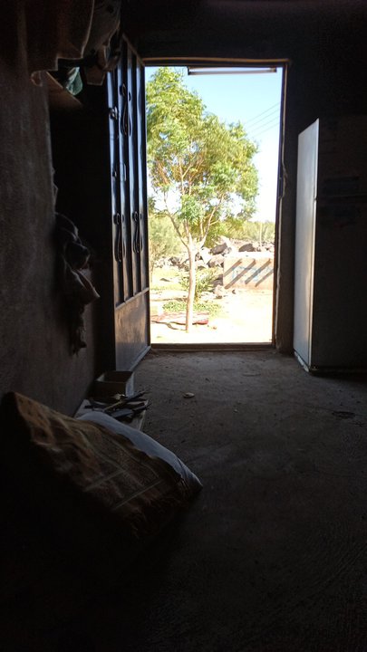 Mes publications Crowdsourcing