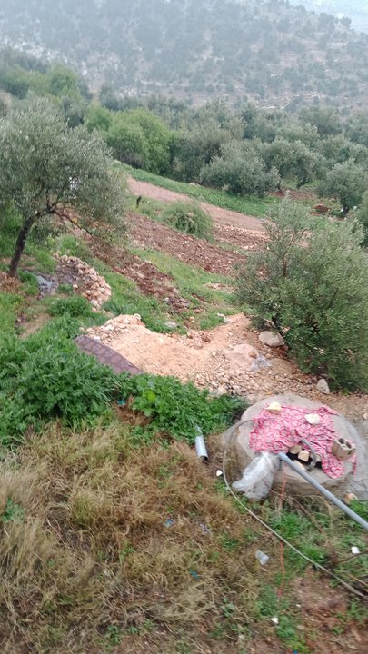 مشاركاتي في أنت الراصد