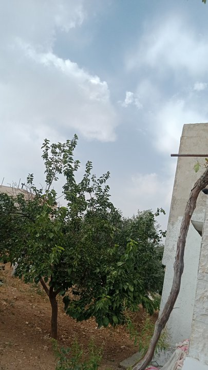 مشاركاتي في أنت الراصد