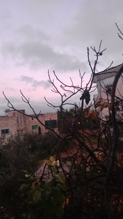 مشاركاتي في أنت الراصد