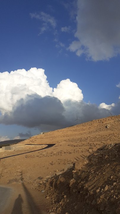 مشاركاتي في أنت الراصد