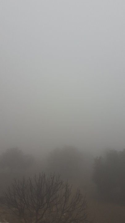 مشاركاتي في أنت الراصد