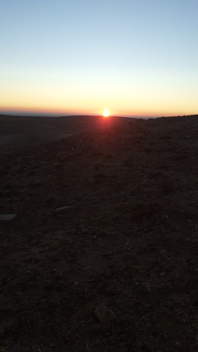 مشاركاتي في أنت الراصد