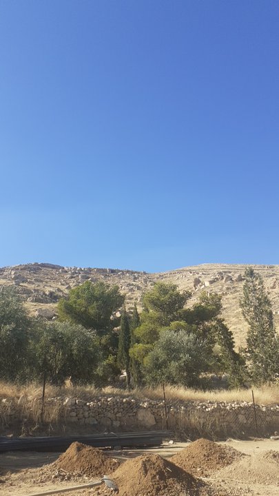 مشاركاتي في أنت الراصد