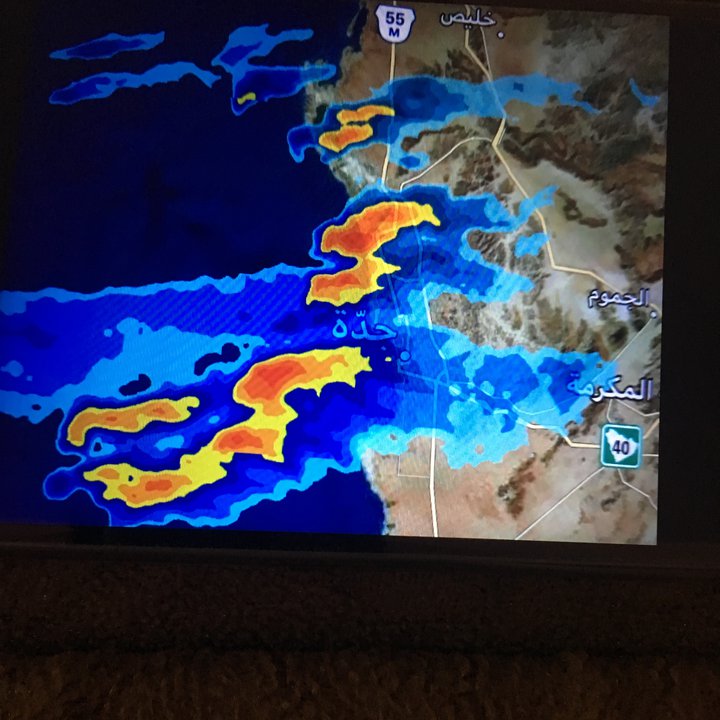 مشاركاتي في أنت الراصد