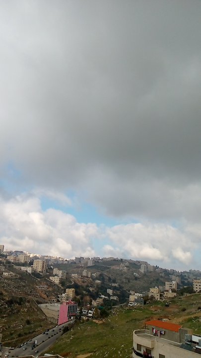 مشاركاتي في أنت الراصد