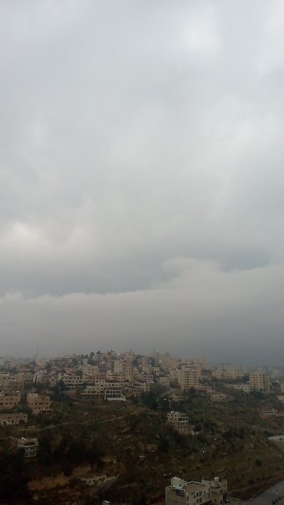 مشاركاتي في أنت الراصد