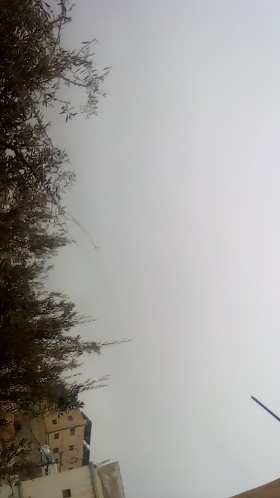 مشاركاتي في أنت الراصد