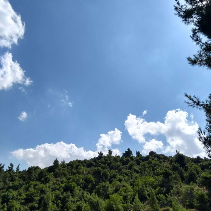 My Crowdsourcing Posts