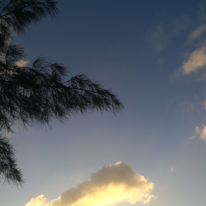 My Crowdsourcing Posts