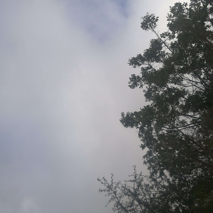 My Crowdsourcing Posts