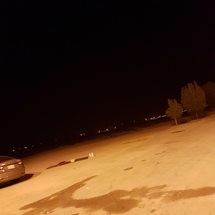 مشاركاتي في أنت الراصد