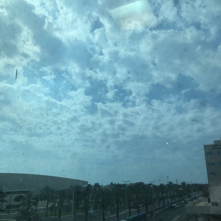 مشاركاتي في أنت الراصد