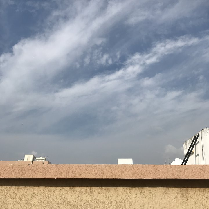 مشاركاتي في أنت الراصد