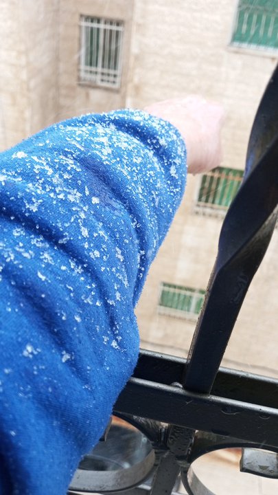 مشاركاتي في أنت الراصد