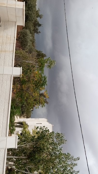 مشاركاتي في أنت الراصد