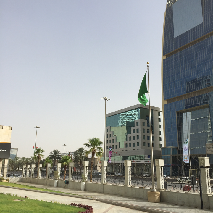 مشاركاتي في أنت الراصد