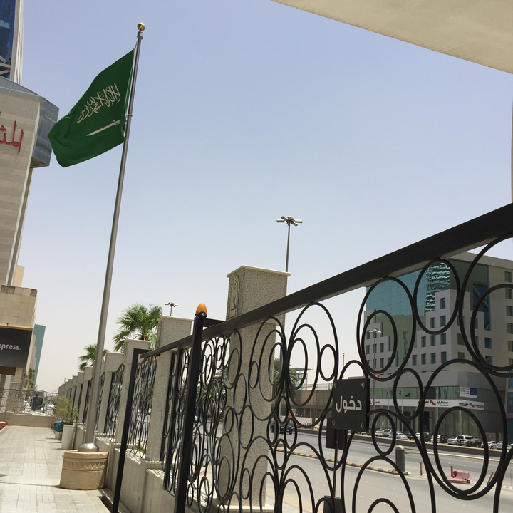 مشاركاتي في أنت الراصد