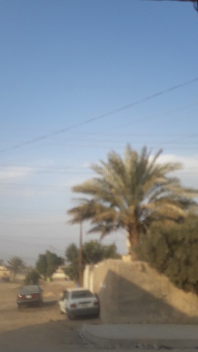 مشاركاتي في أنت الراصد