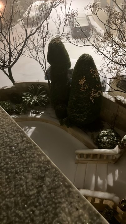 مشاركاتي في أنت الراصد