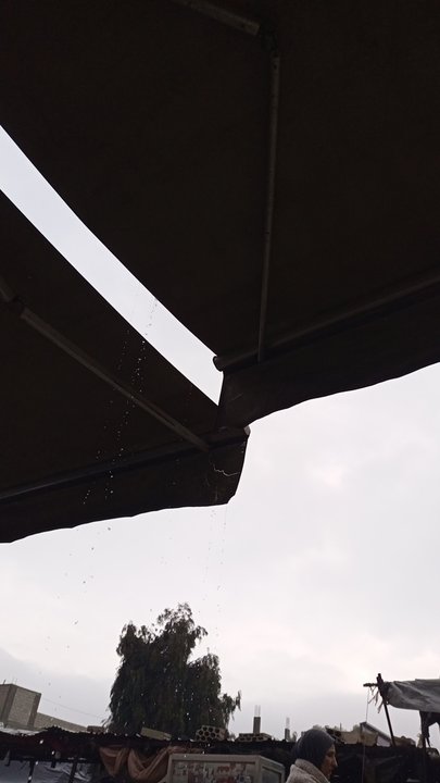 مشاركاتي في أنت الراصد