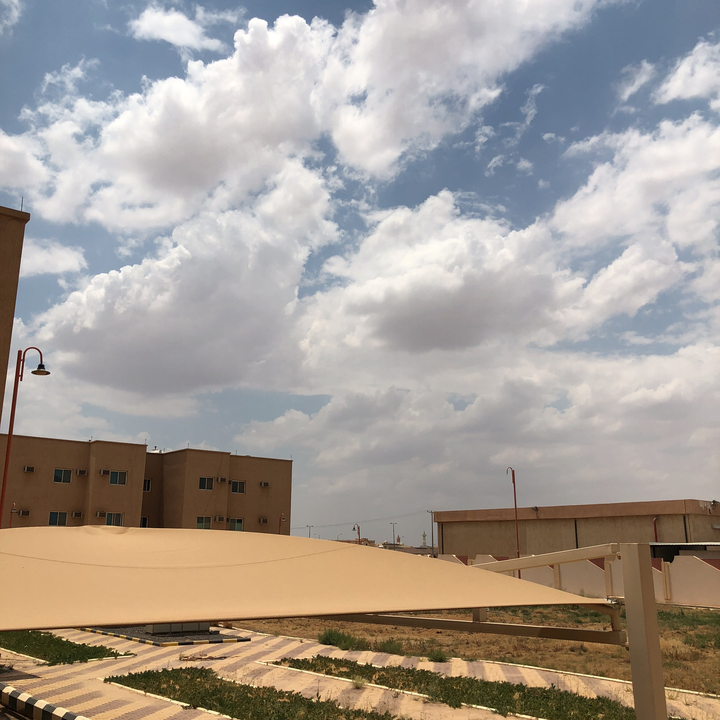 مشاركاتي في أنت الراصد