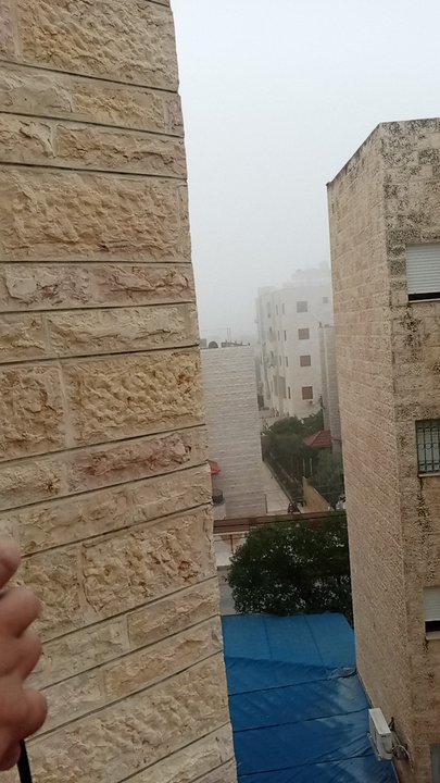 مشاركاتي في أنت الراصد