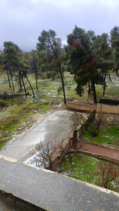 مشاركاتي في أنت الراصد