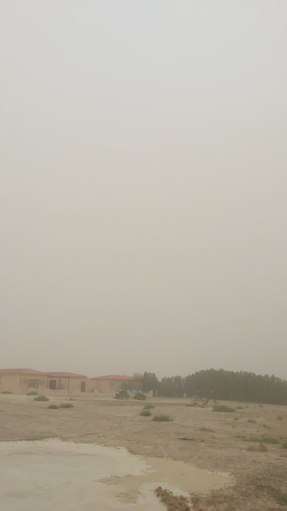 مشاركاتي في أنت الراصد