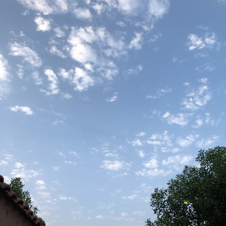 مشاركاتي في أنت الراصد