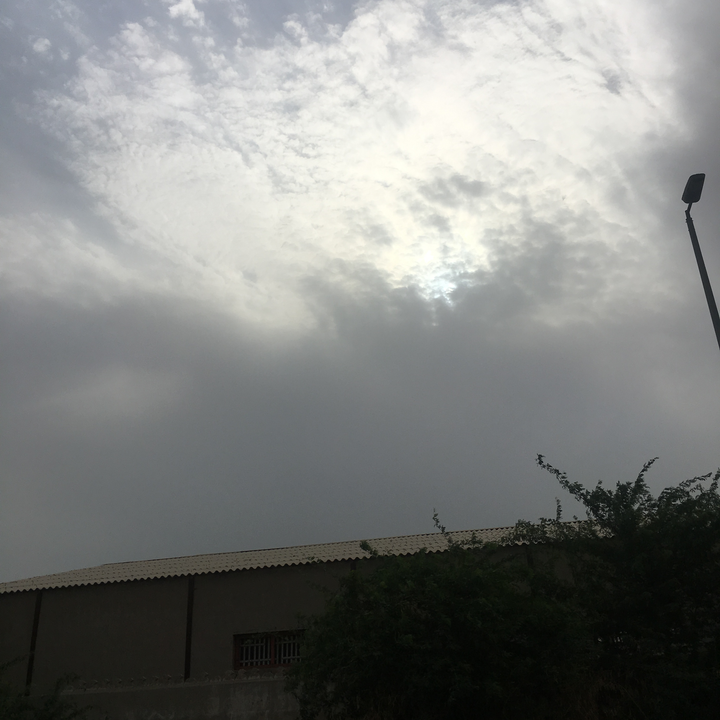 مشاركاتي في أنت الراصد