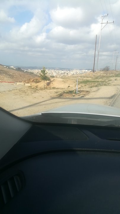 مشاركاتي في أنت الراصد